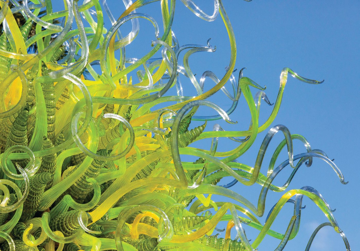 A detail of Dale Chihuly’s “Sol del Citrón” piece, as seen at Fairchild Tropical Botanic Garden in Coral Gables, Fla. PHOTO BY SCOTT MITCHELL LEEN; DALE CHIHULY, “SOL DEL CITRÓN” (DETAIL) (2014), 15 FEET BY 14.5 FEET BY 14 FEET, FAIRCHILD TROPICAL BOTANIC GARDEN, CORAL GABLES, FLA., © 2021 CHIHULY STUDIO. ALL RIGHTS RESERVED