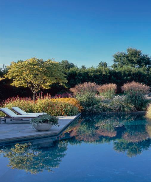 Plantings by landscape architecture firm Oehme, van Sweden around a swimming pool in Southampton, N.Y., as featured in Beyond Bold: Inspiration, Collaboration, Evolution (The Pointed Leaf Press, September 2022) BEYOND BOLD: INSPIRATION, COLLABORATION, EVOLUTION PHOTO BY RICHARD FELBER/COURTESY OF POINTED LEAF PRESS/OEHME, VAN SWEDEN INC.